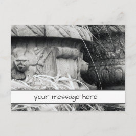 Plant Punten Vroege Lente Zwart Wit Aangepast Beri Briefkaart