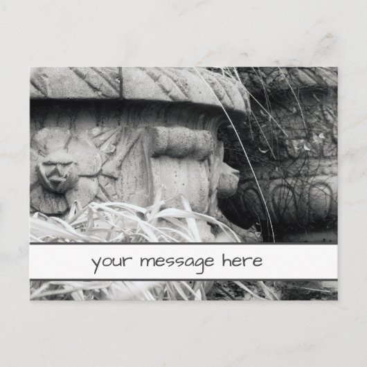 Plant Punten Vroege Lente Zwart Wit Aangepast Beri Briefkaart (Voorkant)