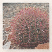 Plant Rood Barrel Cactus Glazen Onderzetter (Voorkant)