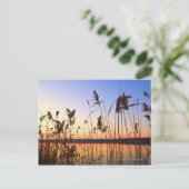 Plant Silhouette door Lakeside sunset Briefkaart (Staand voorkant)