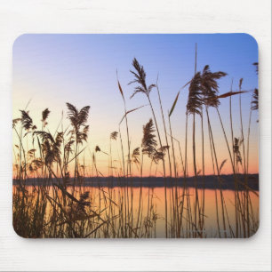Plant Silhouette door Lakeside sunset Muismat