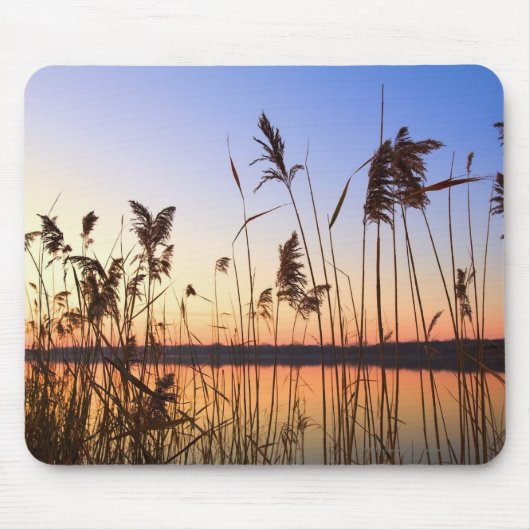 Plant Silhouette door Lakeside sunset Muismat (Voorkant)