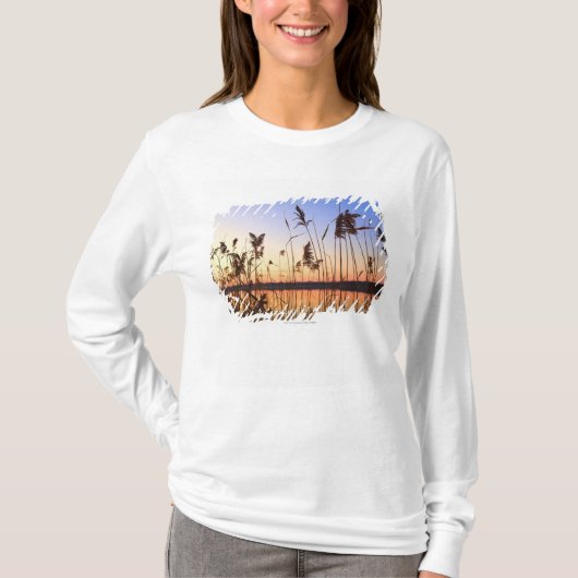 Plant Silhouette door Lakeside sunset T-shirt (Voorkant)