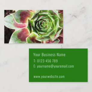 Plant Sitter Houseplant Plant Watering Visitekaartje