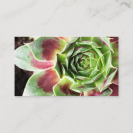 Plant Sitter Houseplant Plant Watering Visitekaartje