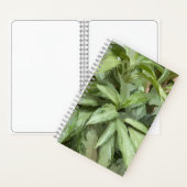 Plant Spiral Sketchbook Notitieboek (Binnen)