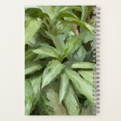 Plant Spiral Sketchbook Notitieboek (Achterkant)