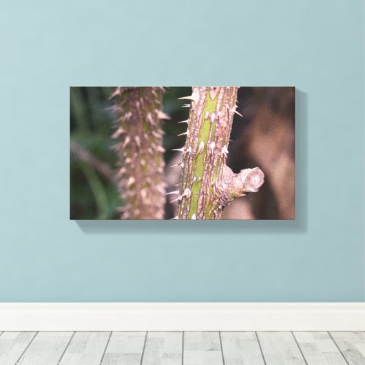 Plant Stem Thorns Natuur Park Canvas Afdruk (Insitu (Houten vloer))