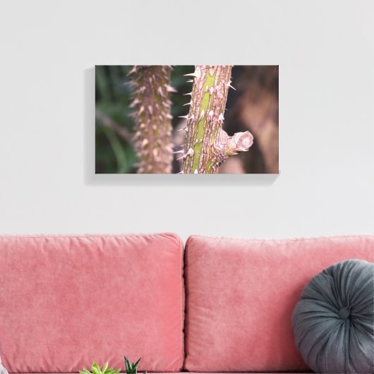 Plant Stem Thorns Natuur Park Canvas Afdruk (Insitu (Woonkamer))