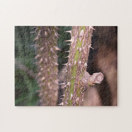 Plant Stem Thorns Natuur Park Legpuzzel (Horizontaal)