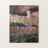 Plant Stem Thorns Natuur Park Legpuzzel (Verticaal)