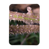 Plant Stem Thorns Natuur Park Magneet (Verticaal)