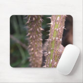 Plant Stem Thorns Natuur Park Muismat (Met muis)