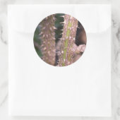 Plant Stem Thorns Natuur Park Ronde Sticker (Tas)