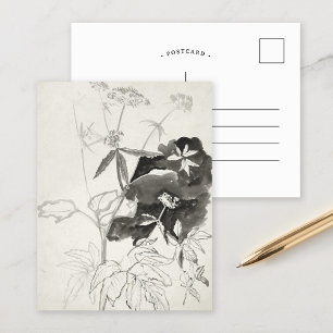 Plant studie   Carel Adolph Cachet Briefkaart