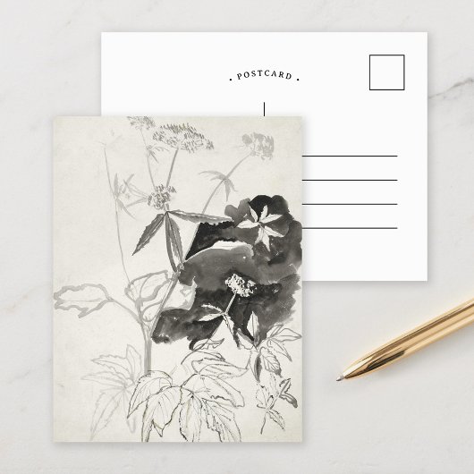 Plant studie | Carel Adolph Cachet Briefkaart