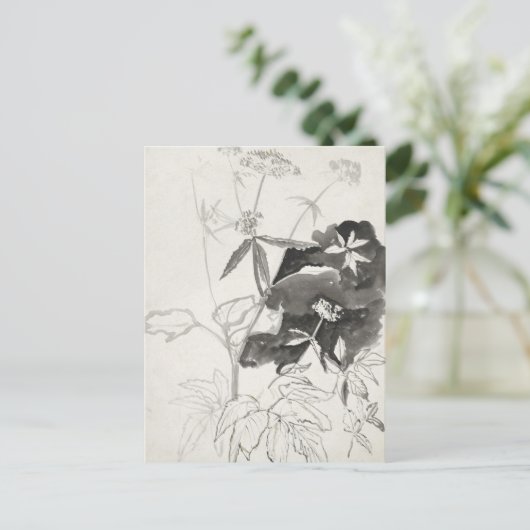 Plant studie | Carel Adolph Cachet Briefkaart (Staand voorkant)