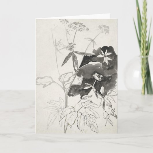 Plant studie | Carel Adolph Cachet Kaart (Voorkant)