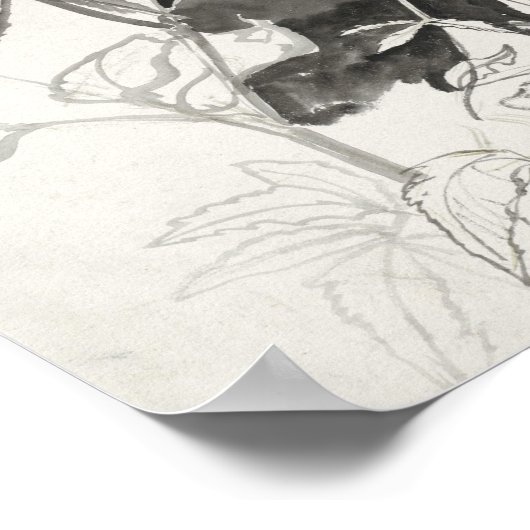 Plant studie | Carel Adolph Cachet Poster (Hoek)