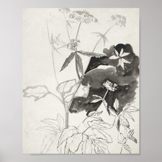 Plant studie | Carel Adolph Cachet Poster (Voorkant)