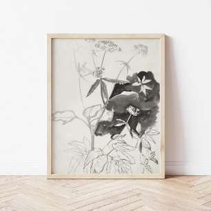 Plant studie   Carel Adolph Cachet Poster