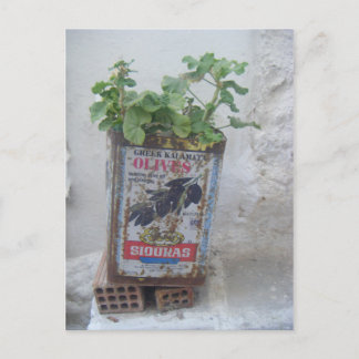 Plant Teelt in Olive Tin, Naxos, Griekenland Briefkaart