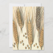 Plant tegen droogte, landbouw (Voorkant)