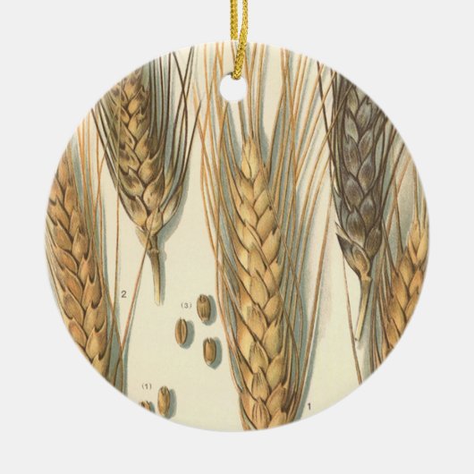 Plant tegen droogte,  landbouw keramisch ornament (Voorkant)