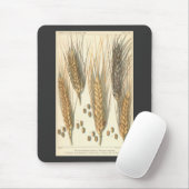 Plant tegen droogte,  landbouw muismat (Met muis)