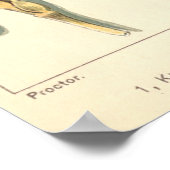 Plant tegen droogte,  landbouw poster (Hoek)