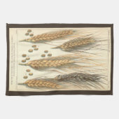 Plant tegen droogte, landbouw theedoek (Horizontaal)