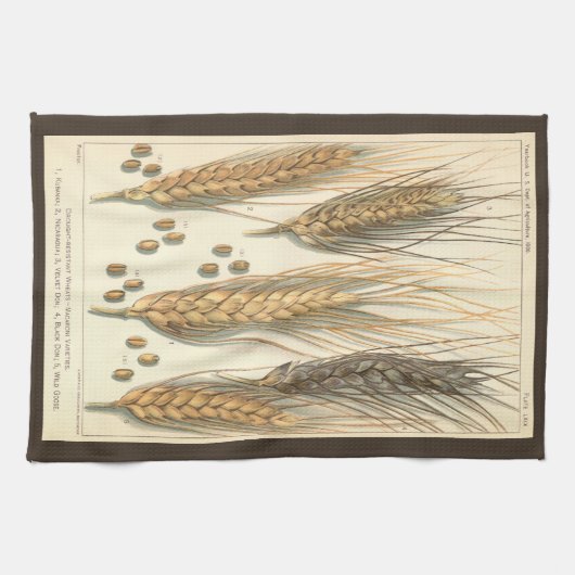 Plant tegen droogte,  landbouw theedoek (Horizontaal)