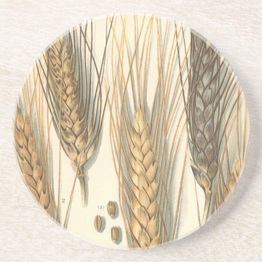 Plant tegen droogte,  landbouw zandsteen onderzetter (Voorkant)