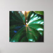 Plant tractorzitplaats canvas afdruk (Voorkant)
