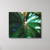 Plant tractorzitplaats canvas afdruk (Voorkant)