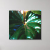 Plant tractorzitplaats canvas afdruk (Voorkant)