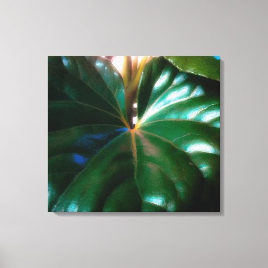 Plant tractorzitplaats canvas afdruk (Voorkant)