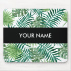 Plant Tropisch Botanisch Palm Leaf