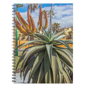 Plant van Aloe Vera en notitieboek van bloemen
