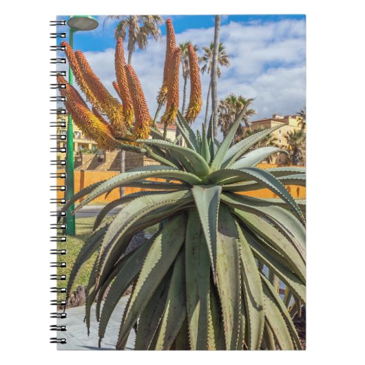Plant van Aloe Vera en notitieboek van bloemen (Voorkant)