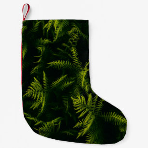 Plant VAN DE GROENE EN DE GLOEILEAF Kleine Kerstsok