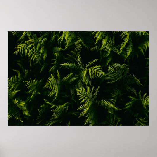 Plant VAN DE GROENE EN DE GLOEILEAF Poster (Voorkant)