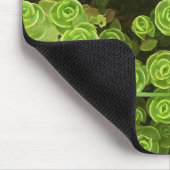 Plant van de Groene Sedum Garden Muismat (Hoek)