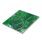 Plant van de palmboom van de pasteel tegeltje (Zijkant)