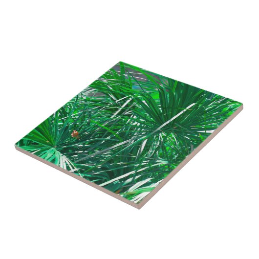 Plant van de palmboom van de pasteel tegeltje (Zijkant)