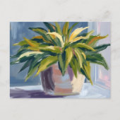 Plant van de slang | Potted House Plant Schilderij Briefkaart (Voorkant)
