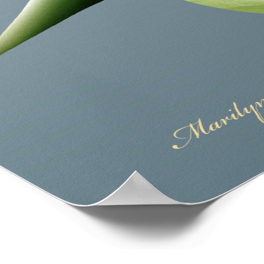 Plant van de vogelgriep-van-Paradise Fantasy Poster (Hoek)