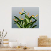 Plant van de vogelgriep-van-Paradise Fantasy Poster (Keuken)