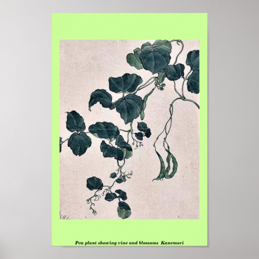 Plant van erwten waarop wijnstokbloemen en bloesem poster (Voorkant)