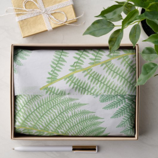  Plant van Fern Botanische loszijde Tissuepapier (Geschenk)